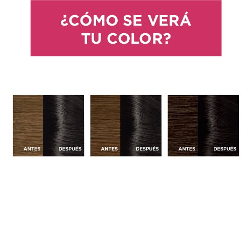 EXCELLENCE TINTE CASTANO 200 RESULTADOS